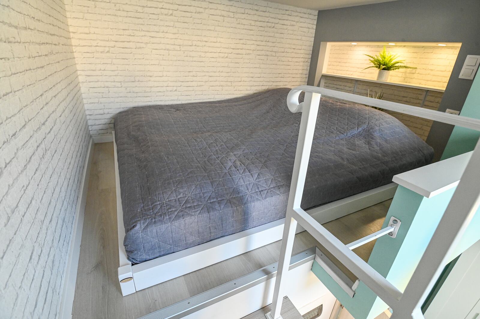 Canary Palm Apartment – Rooftop Windows