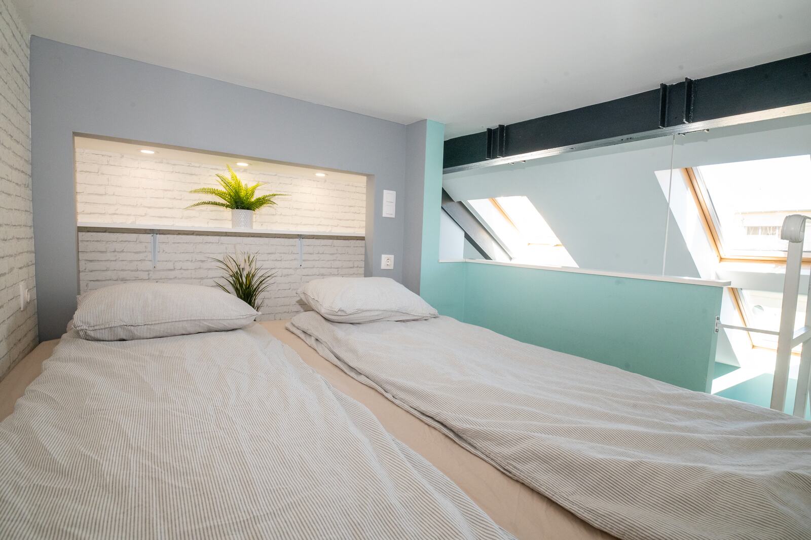 Canary Palm Apartment – Rooftop Windows