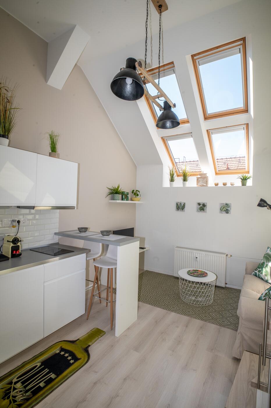Coconut Palm Apartment – Skylight