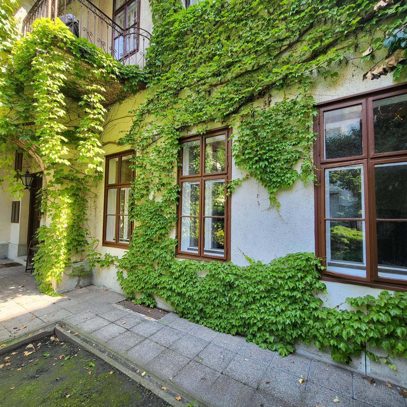 Jungle City Centre Apartment – Garden
