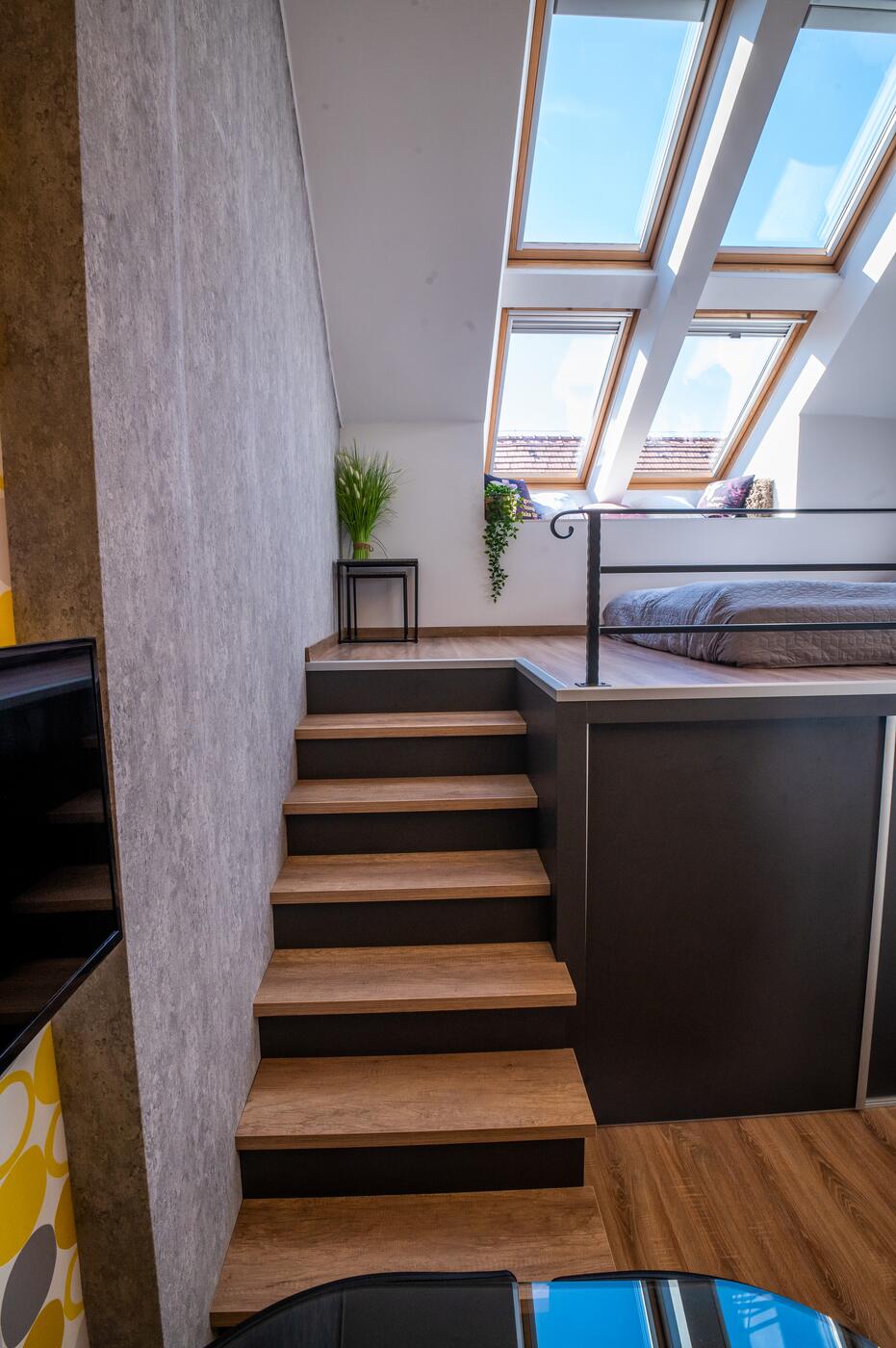 Queen Palm Apartment – Rooftop Windows